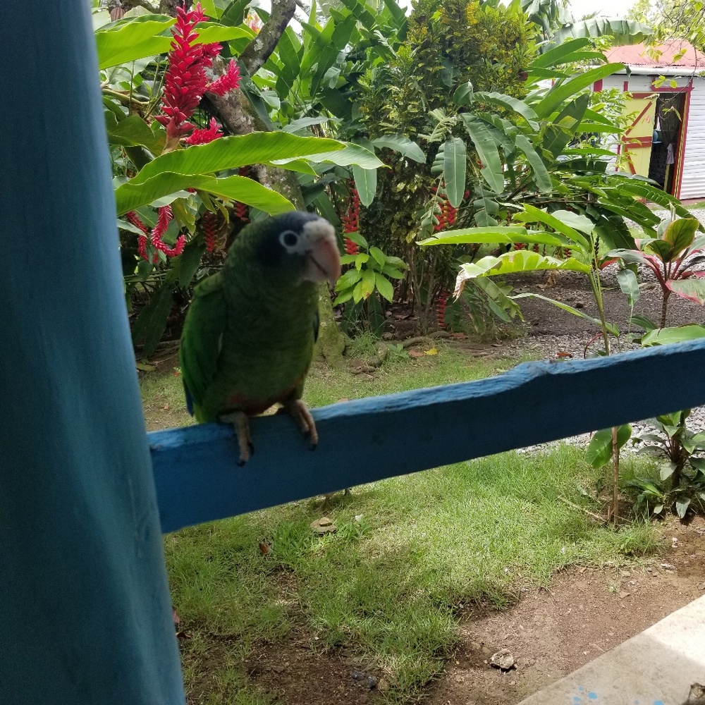 Meet your Posher, Dana